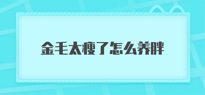 金毛太瘦了怎么养胖