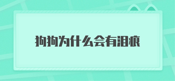 狗狗为什么会有泪痕