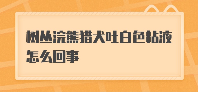 树丛浣熊猎犬吐白色粘液怎么回事