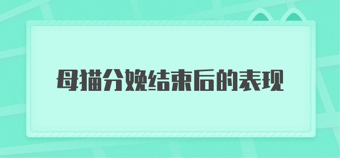 母猫分娩后的表现