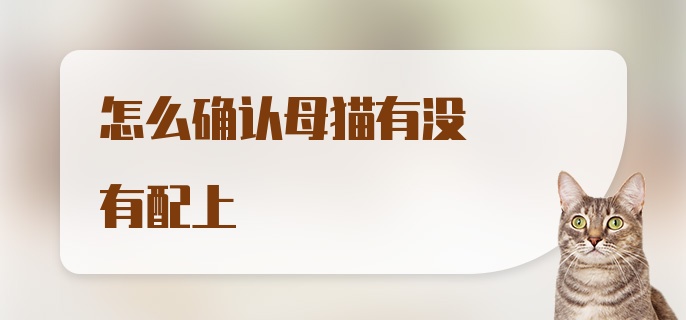 怎么确认母猫有没有配上