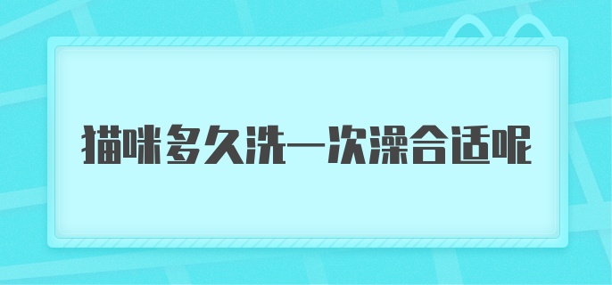 猫咪多久洗一次澡合适呢