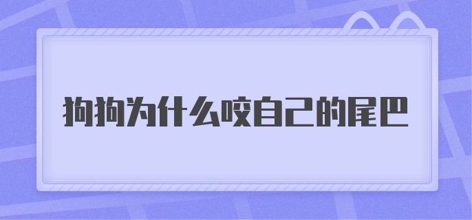 狗狗为什么咬自己的尾巴