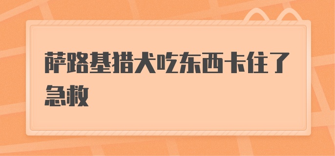 萨路基猎犬吃东西卡住了急救