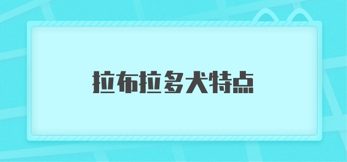 拉布拉多犬特点