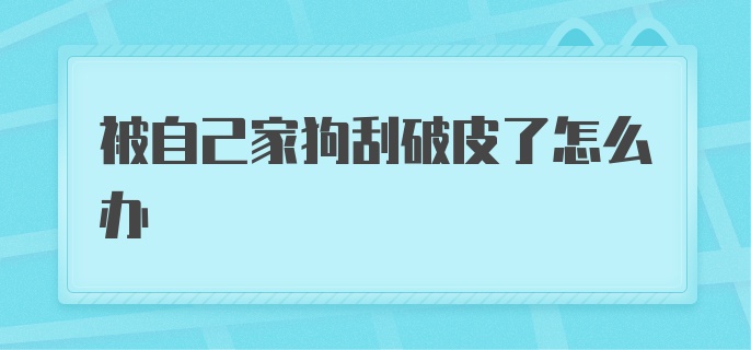 被自己家狗刮破皮了怎么办