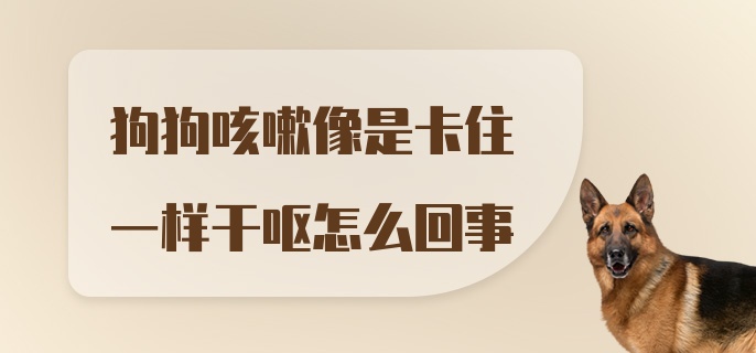 狗狗咳嗽像是卡住一样干呕怎么回事