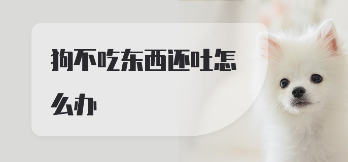 狗不吃东西还吐怎么办