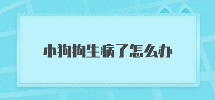 小狗狗生病了怎么办