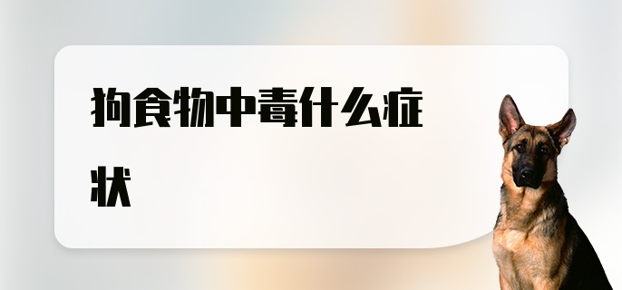 狗食物中毒什么症状