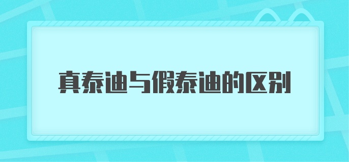 真泰迪与假泰迪的区别