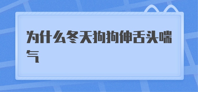 为什么冬天狗狗伸舌头喘气