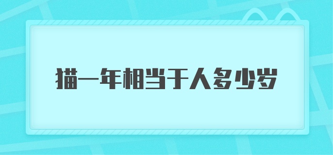 猫一年相当于人多少岁