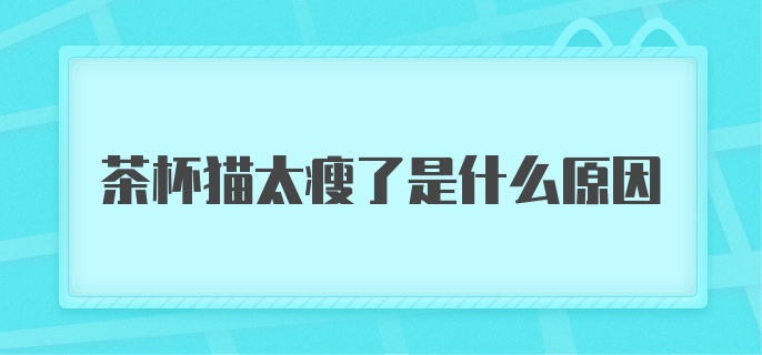 茶杯猫太瘦了是什么原因