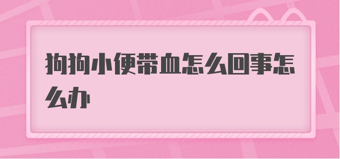 狗狗小便带血怎么回事怎么办