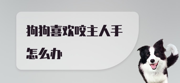 狗狗喜欢咬主人手怎么办