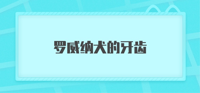 罗威纳犬的牙齿