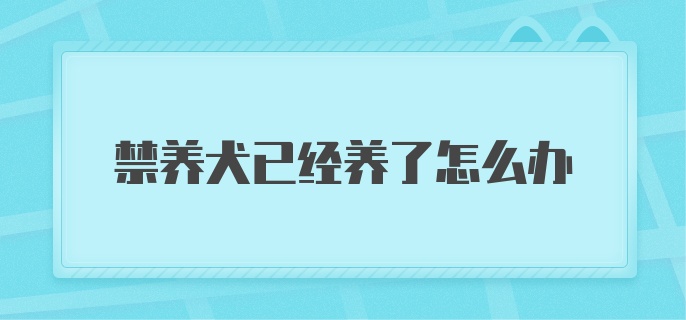 禁养犬已经养了怎么办