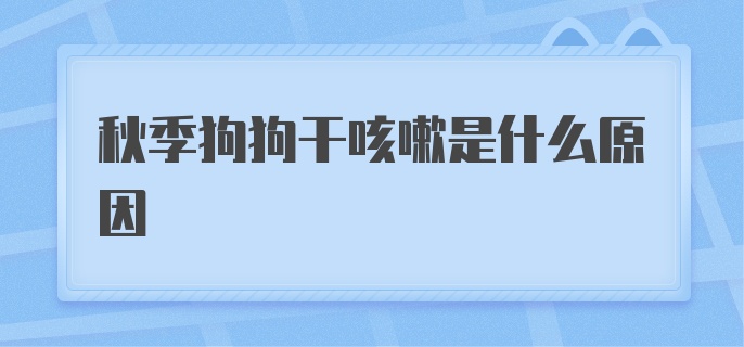 秋季狗狗干咳嗽是什么原因