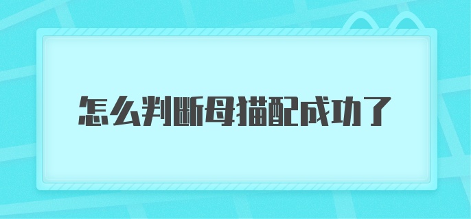 怎么判断母猫配成功了