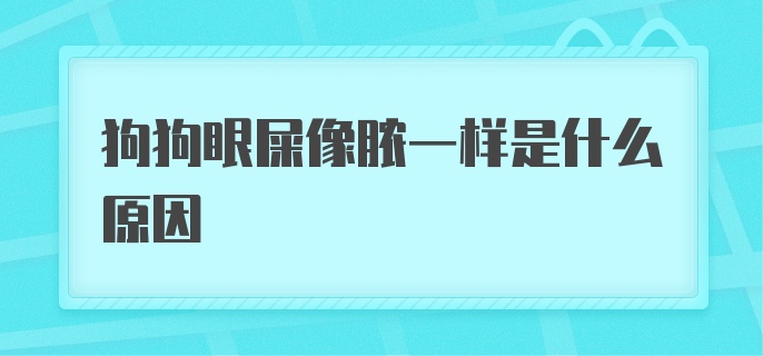 狗狗眼屎像脓一样怎么回事？