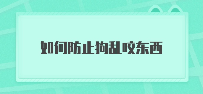 如何防止狗乱咬东西