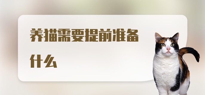 养猫需要提前准备什么