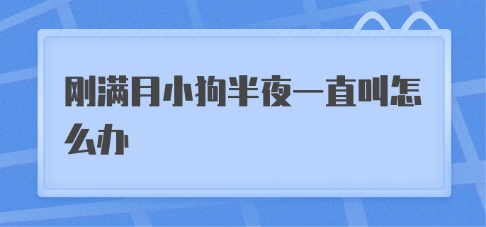 刚满月小狗半夜一直叫怎么办