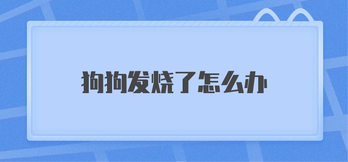 狗狗发烧了怎么办