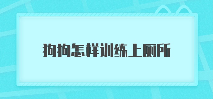 狗狗怎样训练上厕所