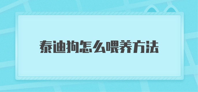 泰迪狗怎么喂养方法