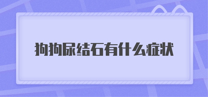 狗狗尿结石有什么症状