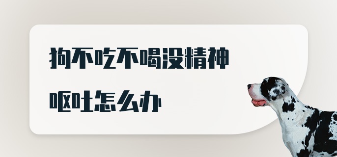 狗不吃不喝没精神呕吐怎么办