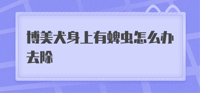 博美犬身上有蜱虫怎么办去除