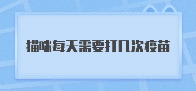 猫咪每天需要打几次疫苗