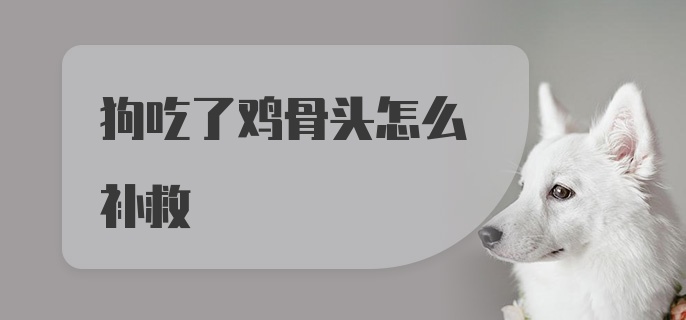 狗吃了鸡骨头怎么补救