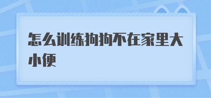 怎么训练狗狗不在家里大小便