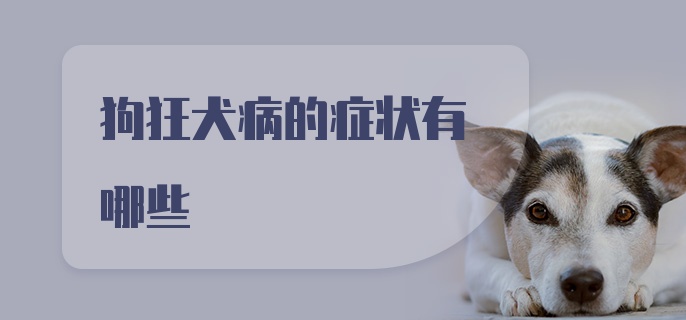 狗狂犬病的症状有哪些