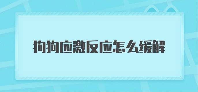 狗狗应激反应怎么缓解