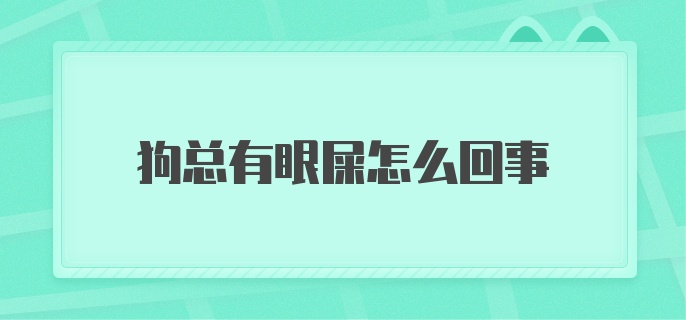 狗总有眼屎怎么回事