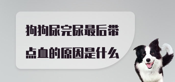 狗狗尿完尿最后带点血的原因是什么