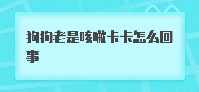 狗狗老是咳嗽卡卡怎么回事