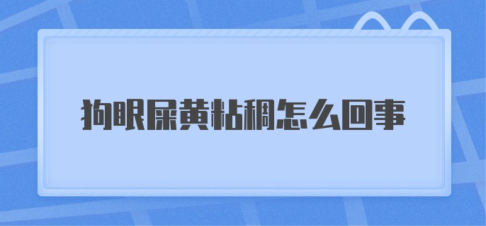 狗眼屎黄粘稠怎么回事