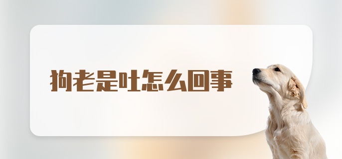 狗老是吐怎么回事