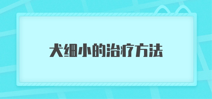 犬细小的治疗方法