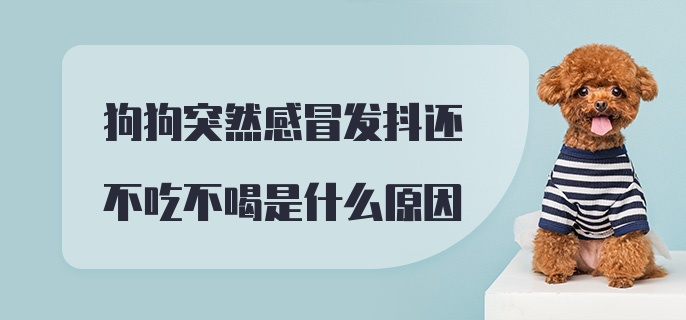 狗狗突然感冒发抖还不吃不喝是什么原因