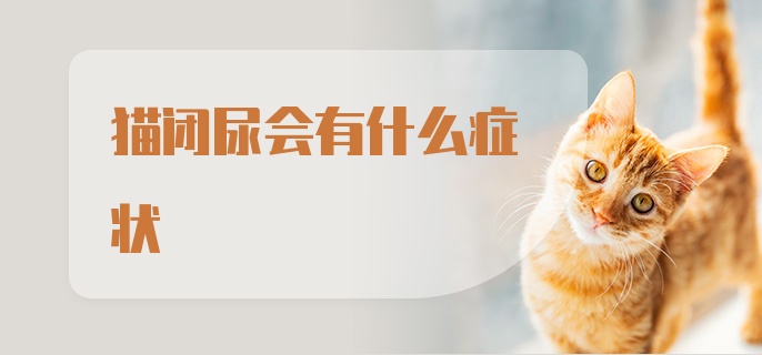 猫闭尿会有什么症状