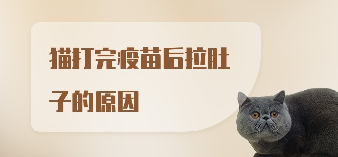 猫打完疫苗后拉肚子的原因