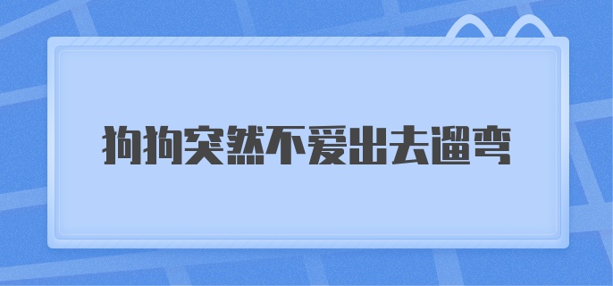 狗狗突然不爱出去遛弯