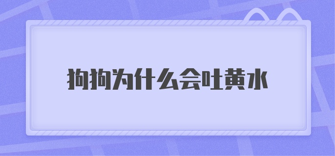 狗狗为什么会吐黄水